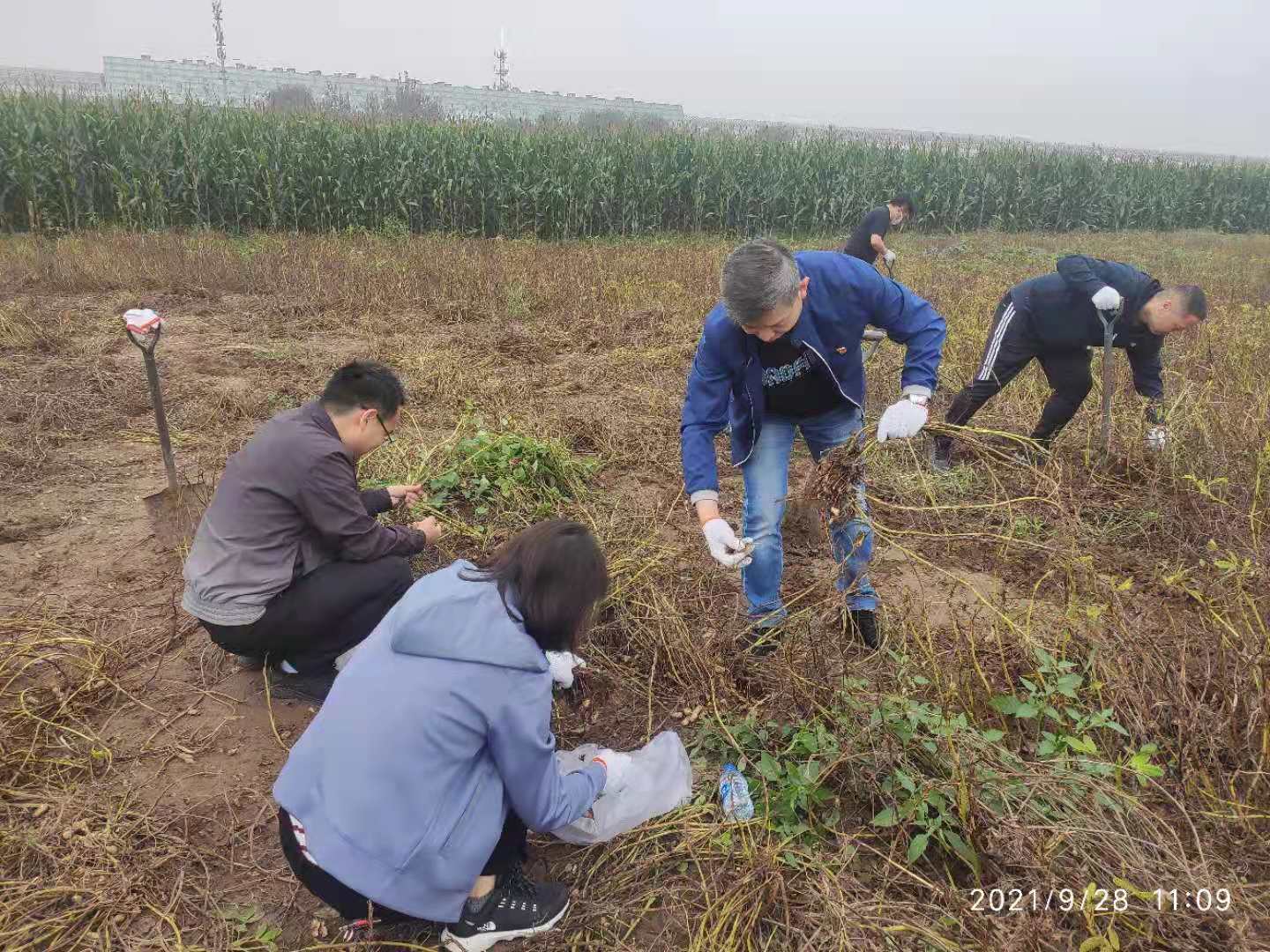 聚彩堂-追求康健,你我一起生长