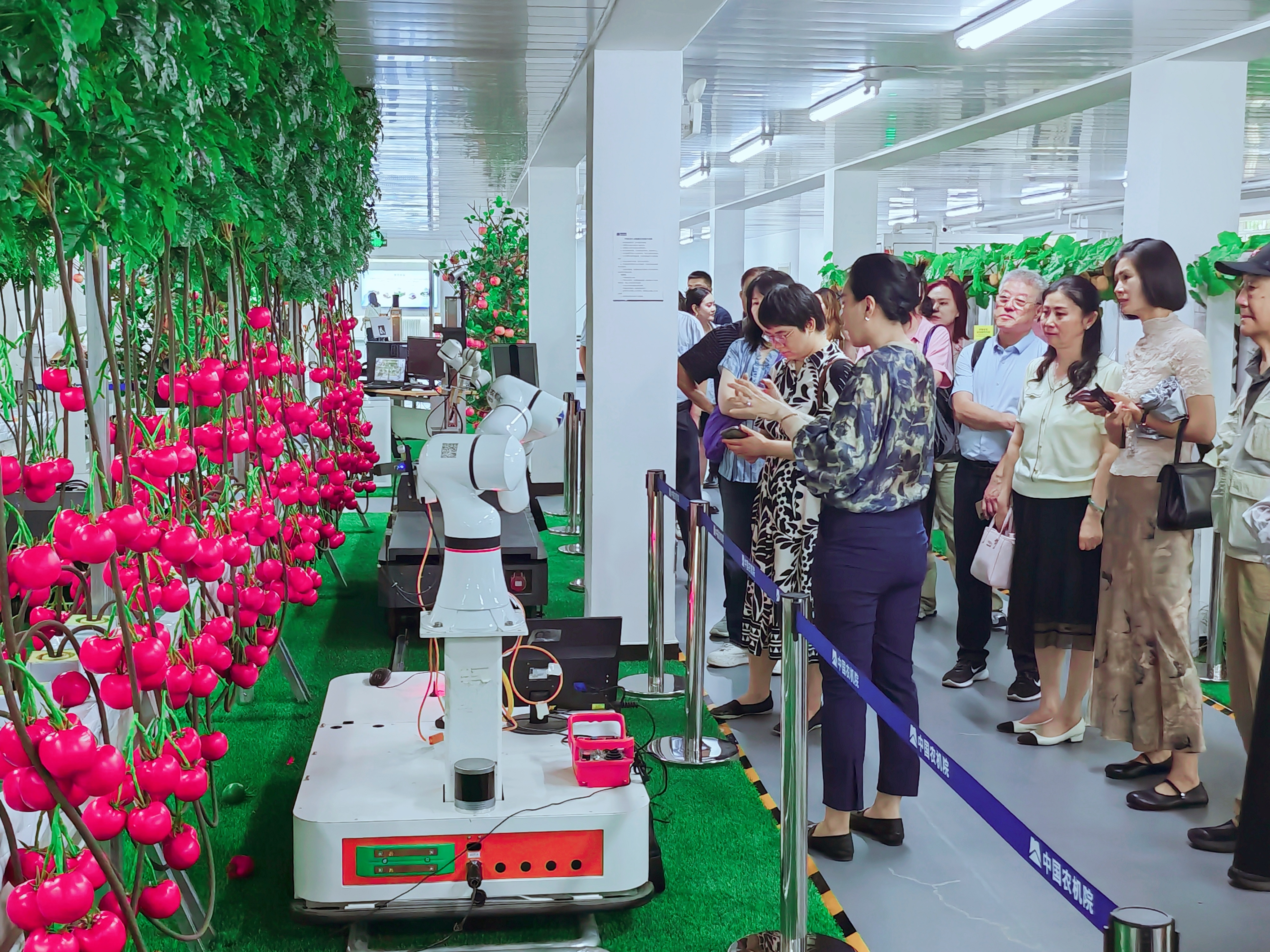 聚彩堂-追求康健,你我一起生长