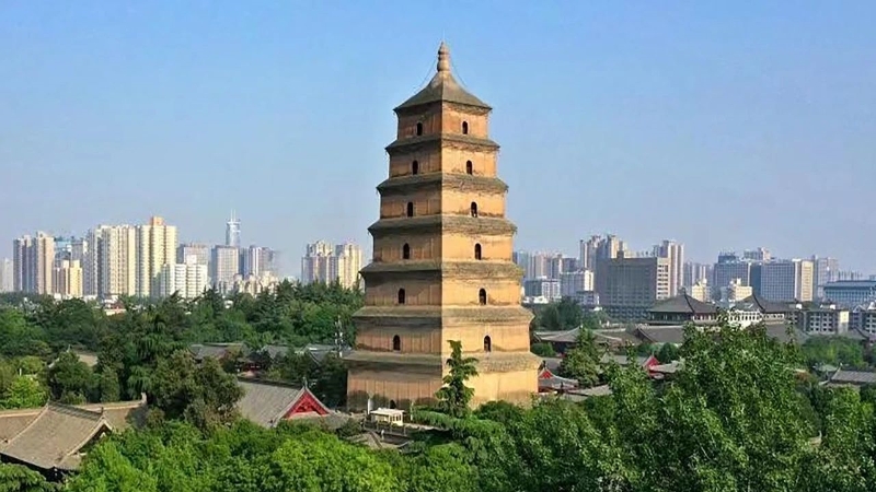 聚彩堂-追求康健,你我一起生长